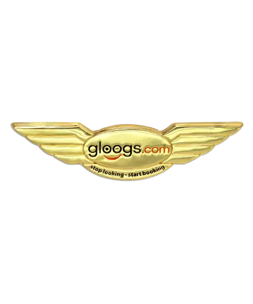 Pin im Spritzguss „gloogs.com Flügel“