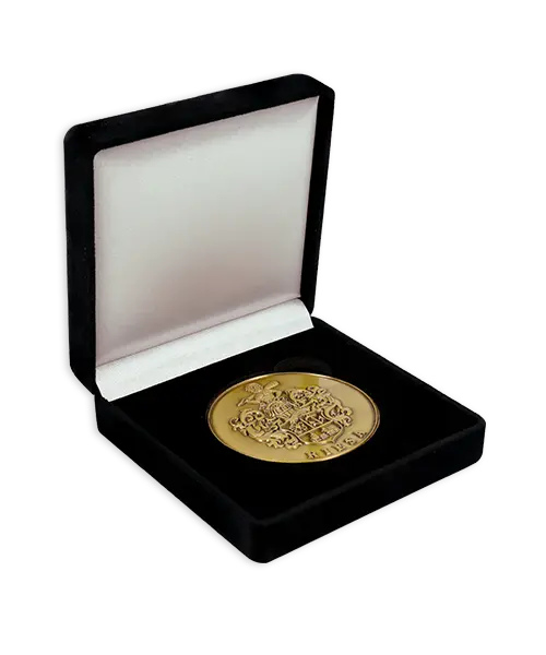 Münze / Medaille gegossen „Stadtrecht Riesa“